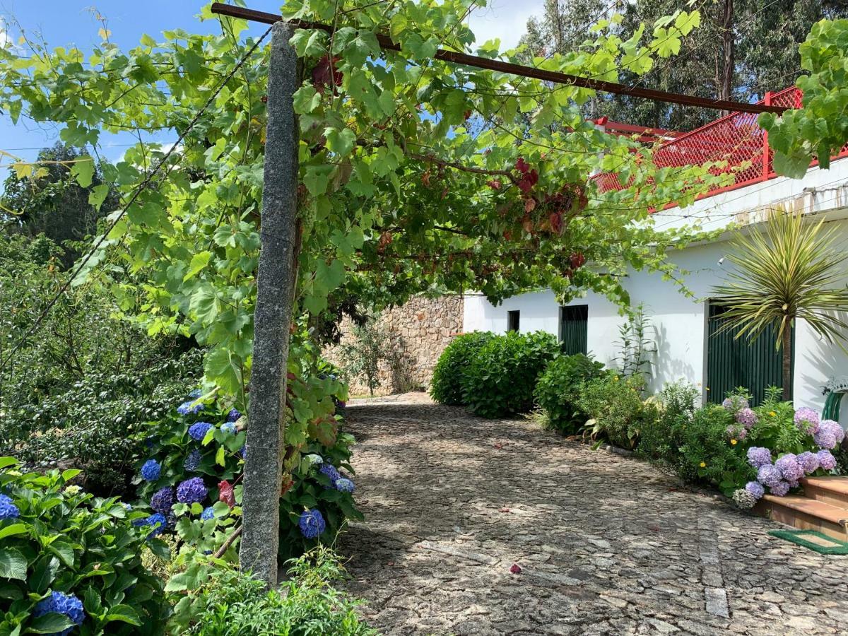 Vila Aurora Parada de Gatim Экстерьер фото
